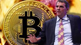 亿万富翁蒂姆·德雷珀 预计到 2023 年年中会发生这种情况(BTC)_狗狗币:gdoge币金狗