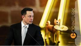 Elon Musk 和 Dogecoin 创始人是否在等待这前五名山寨币的崩盘？_TET:HERPES