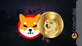 注意力 SHIB发展堪忧 分析师的可怕预测_SHIB:SHIBAX价格