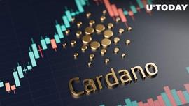大玩家购买了 2.172 亿个 Cardano 代币，ADA 在一周内上涨了 10%_ADA:CardWallet