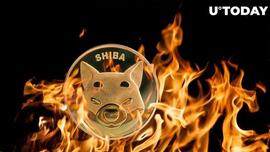 SHIB军队烧伤太小受到抨击：“我们需要更多年，什么都不会改变”_SHI:BUR