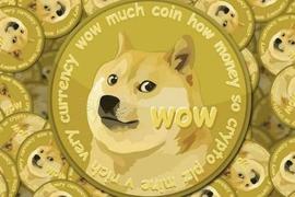 狗狗币社会情绪水平可能预示着即将到来的价格飙升_DOG:POLYDOGE币会是百倍币吗