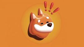 Solana：BONK暴跌66%，还能比得上SHIB、DOGE吗？_BON:BONK