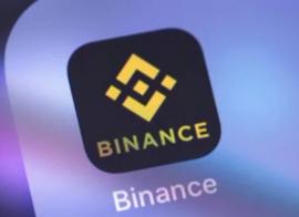 币安新IEO：狂欢背后BNB共识凝聚_BNB:INS
