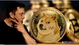 马斯克与狗狗币的币海浮沉_DOT:以太坊交易平台有哪些