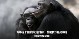 万事达卡首席执行官表示，加密货币最终将得到大规模采用_加密货币:Chain