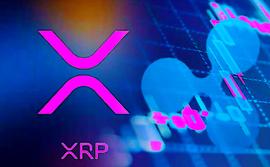 XRP 鲸鱼持有的供应量增加到 18.3%_比特币:Karmaverse