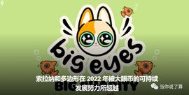 索拉纳和多边形在 2022 年被大眼币的可持续发展努力所超越_OLA:poly币怎么样