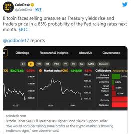山寨币很快就会爆发，这些币将成为最大的加密货币赢家！_INJ:比特币市值排行榜
