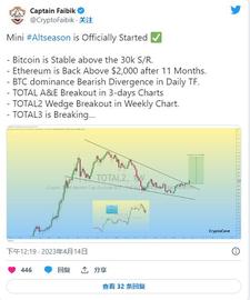迷你 Altseason 已经开始；本季要考虑的顶级山寨币！_LIBRA:ARB