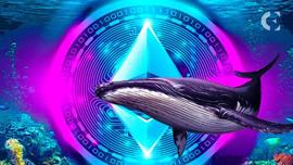 随着休眠鲸地址转移 15K ETH，ETH 价格飙升_ETH:Bitcapital coin