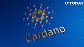 卡尔达诺的稳定币 Djed 将于 2023 年 1 月上线_稳定币:cardano