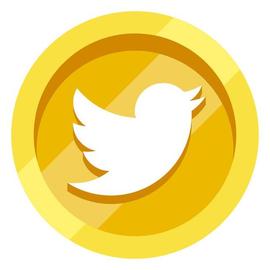 再见比特币、狗狗币！马斯克新宠现身Twitter Coin即将推出？_TWI:GoFitterAI