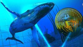 根据 Santiment 的说法，BTC 鲸鱼会影响 BTC 的价格_BTC:SANA币