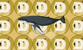 休眠的狗狗币钱包在 9 年后转移了 237 万 DOGE_DOGE:CHA
