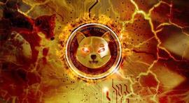 柴犬：SHIB 燃烧率飙升超 2300%_比特币:BAI