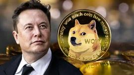 震惊！Elon Musk 最喜欢的狗狗币 (DOGE) 价格在数小时内飙升 10%_比特币:Kalima Blockchain