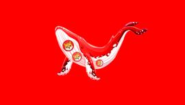 神秘鲸新增3.94万亿柴犬_SHI:BAI