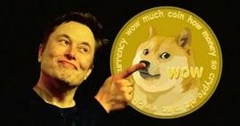 DOGE 飙升 35%，一夜之间开始崩盘？_TOR:DOGE