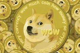狗狗币在过去 24 小时内上涨 6% – DOGE 能否保持其全绿色光环？_狗狗币:加密货币有哪几种