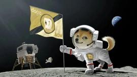 高兴得跳起来的 DOGE 投资者应该注意这些马斯克引起的伤害_DOGE:狗狗币历史价格走势图币界网