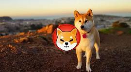 Shiba Inu：Shibarium“以强大的力量”前进_SHI:BRE