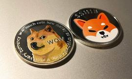 加密分析师表示，SHIB累了，做空 $DOGE 就像踩在超速列车前一样_FTX:BIN