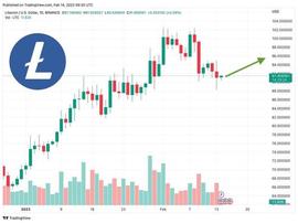 LTC 能否在 2023 年达到 1,000 美元？_莱特币:LTC