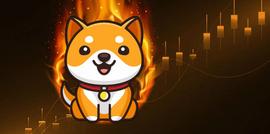 BabyDoge 将在 2 天内大规模烧伤_YDOGE:DOGE