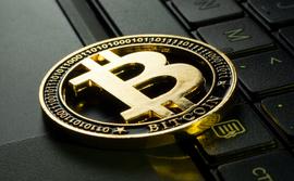 尽管熊市开始，人们对加密货币的信任度仍然很高_加密货币:NFT
