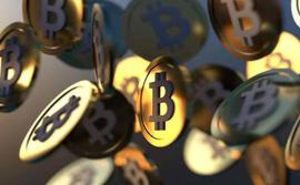 小型比特币 ($BTC) 持有者数量创下新高，因持仓投资者进入_比特币:比特币价格实时行情新浪