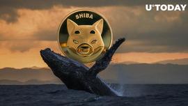 鲸鱼持有 2 个月后卖出 2.8 万亿 SHIB，这就是触发销售的原因_SHI:MEM