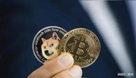 「崛起社区」狗狗币价格预测：DOGE 将在 1 月份上涨 25%？_DOG:狗狗币换算人民币