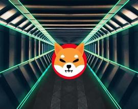 Shiba Inu 代币可能在 2023 年初达到 0.00001 美元的 3 个原因_SHIB:SHI