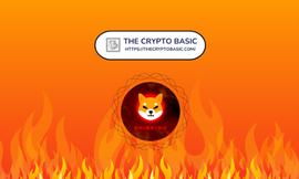 一笔交易烧毁1.26亿柴犬，24 小时内烧毁1.32亿，烧毁率飙升1502%_SHIB:KISHIBURNO