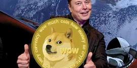 马斯克Twitter成狗狗币登顶关键？DOGE如何从迷因币晋身支付热门_狗狗币:DOGE