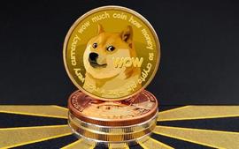 随着 DOGE 击败 Solana 获得第 9 名，394M 狗狗币转向币安_FIL:catecoin币最新消息