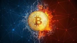 比特币主导地位重新控制加密货币？_比特币:比特币行情最新价格走势图新闻