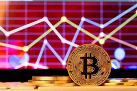 数据显示，比特币的波动性在一周内翻了一番，模仿FTX代币的走势_比特币:FTT