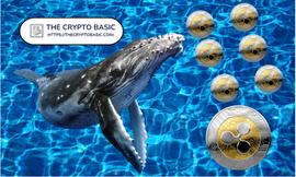 XRP 成为鲸鱼的最爱，因为 8 月份报告的 XRP 交易价值数十亿美元_XRP:ASI