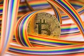 “比特币彩虹”指标跌至历史最低点；BTC 能否跌至 1 万美元？_比特币:BAKC Vault (NFTX)
