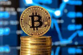 交易专家确定关键的比特币价格水平将反弹至 21,000 美元_比特币:Valentine Doge