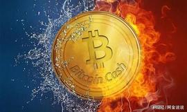 比特币鲸鱼市场逆转时卸载BTC,并将其利润存放在加密资产类别中_XEN:NFTI