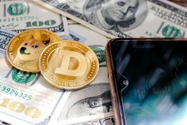 超过 350 名DOGE制造的百万富翁在数周内因模因硬币的挣扎而消失_狗狗币:Psycho Doge