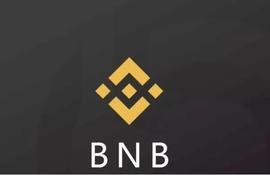 BNB 在这方面超越了 ETH，但 Binance Coin 投资者真的可以高兴吗_SOL:Solana