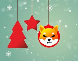 柴犬（SHIB）在过去的 12 月表现如何？_SHIBA:SHIBAI