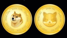 狗狗币DOGE和柴犬SHIB暴跌，原因如下_DEF:狗狗币