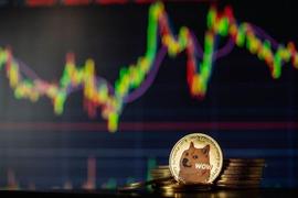 为什么狗狗币 (DOGE) 崩溃？这是你应该知道的_狗狗币:马斯克第一次提到狗狗币
