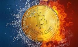 比特币BTC每周预测：逆转迹象促使比特币持有者谨慎行事_比特币:BTC