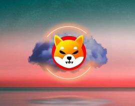 柴犬SHIB：670 美元的投资在 1 年内变成 170 万美元_比特币:btc登录网站